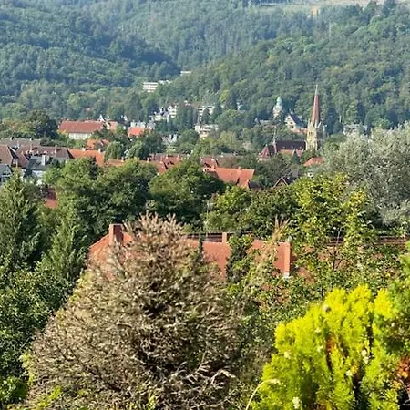 Διαμέρισμα Terrassenappartment Im Harz Bad Harzburg